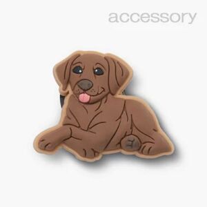 Crocs Egy&eacute;b Brown Lab Puppy