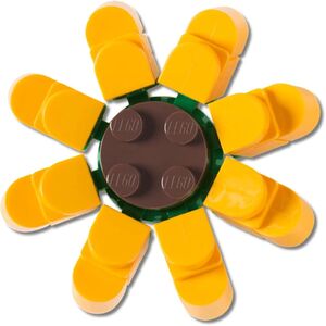 Crocs Egy&eacute;b 4LW Botanicals 1