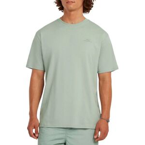 Oneill P&oacute;l&oacute; O'Neill Small Logo T-Shirt